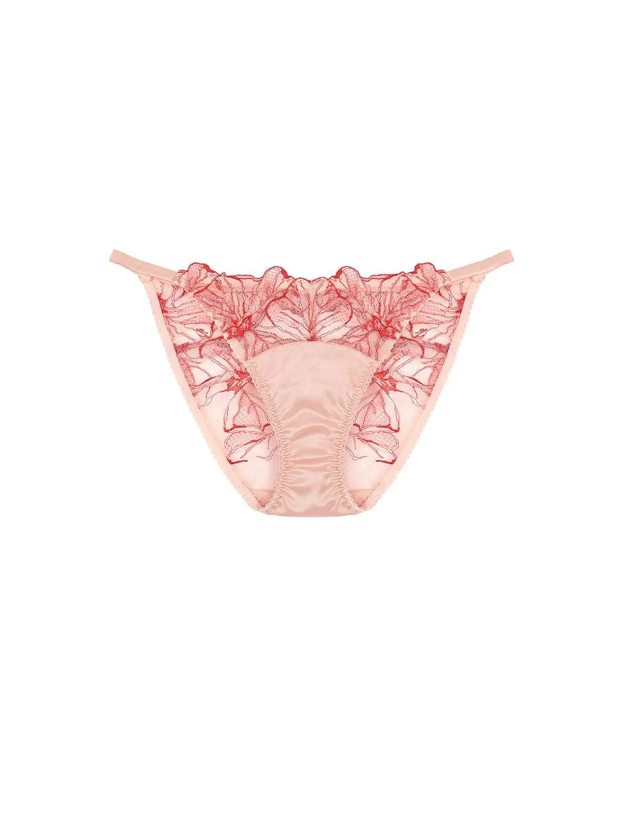 Rosa Ouvert Brief