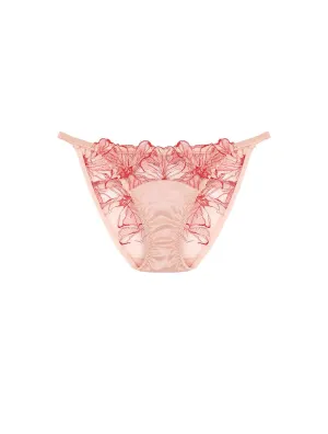 Rosa Ouvert Brief